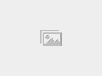 Director of Operations Leadership Program